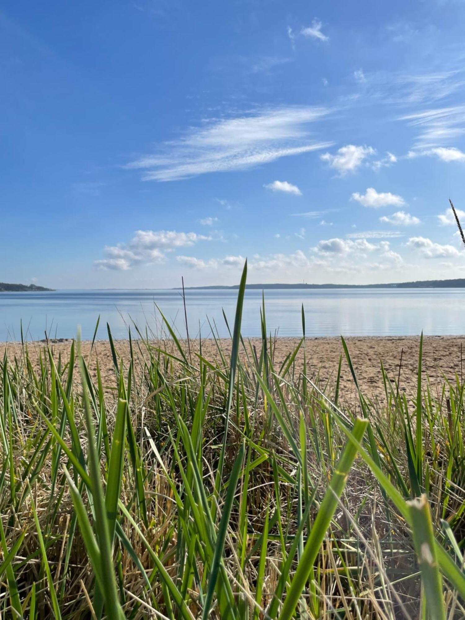 Strandliebe - Fewo Mit Meerblick Harrislee Bagian luar foto